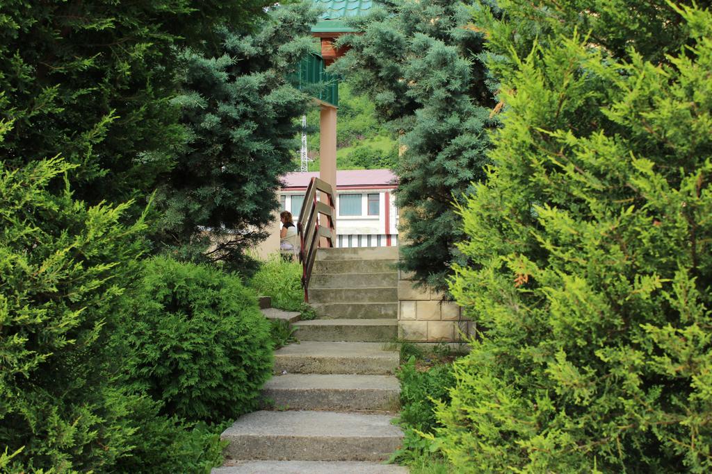 Guesthouse Eko Piva 普卢日内 外观 照片
